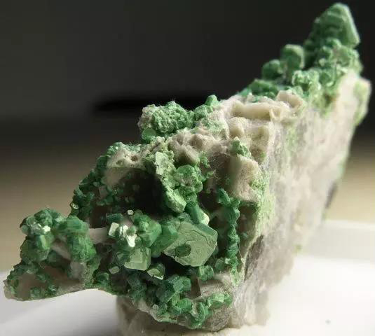 1618969074204011.jpg 微信圖片_20210419144726.jpg