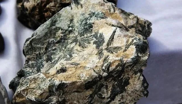 1668052485965557.jpg 1 (8).jpg